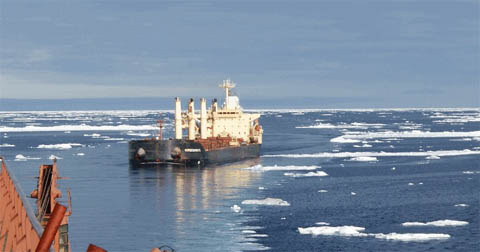 arctic shipping