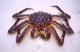 crab