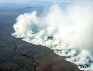 0.9181818181818182 Tundra fire