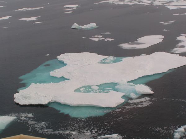 Arctic sea ice