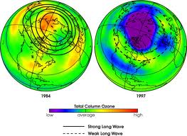 Arctic Ozone