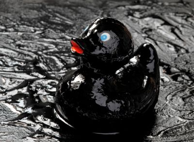 rubber duck covered in oil