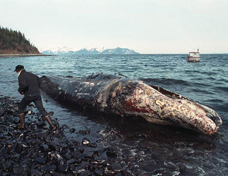Oil Whale Exxon
