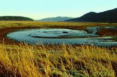 AK Wetlands