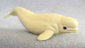 beluga