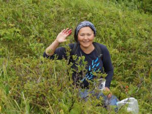 Photo of Mary Pete picking berries in Unalaska